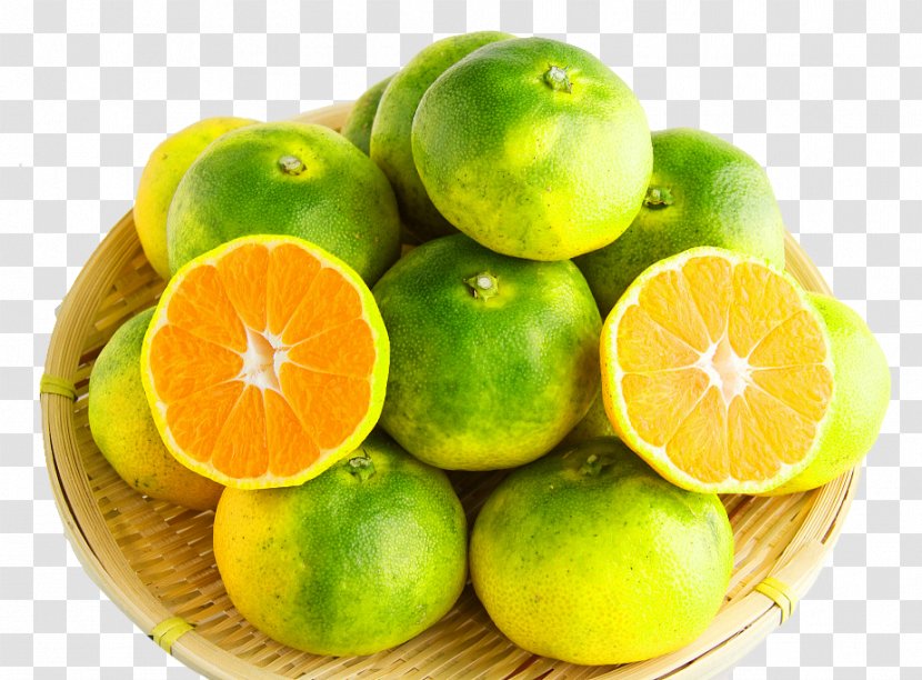 Clementine Mandarin Orange Lemon Food - Key Lime - Fruit Download Transparent PNG
