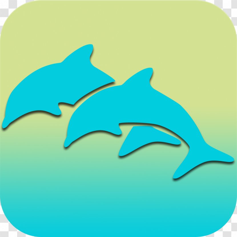 Common Bottlenose Dolphin Requiem Shark Clip Art - Biology Transparent PNG
