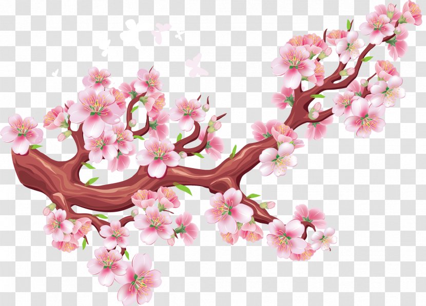 Cherry Blossom Bird Tree Wall Decal - Flower Transparent PNG