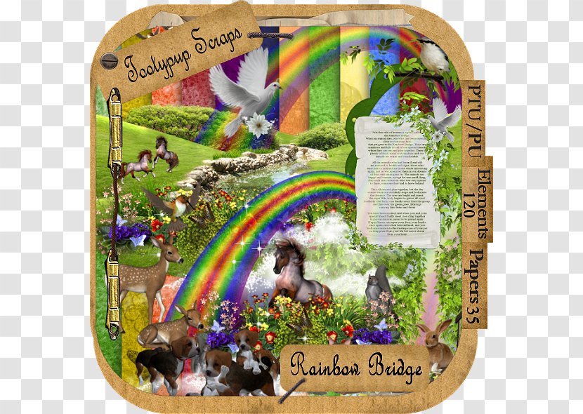 Dog Rainbow Bridge Cat Animal Loss Pet - Grief Transparent PNG