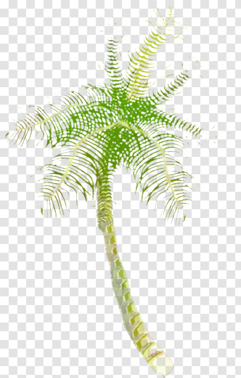 Coconut Tree Cartoon - Plants - Flower Ferns And Horsetails Transparent PNG