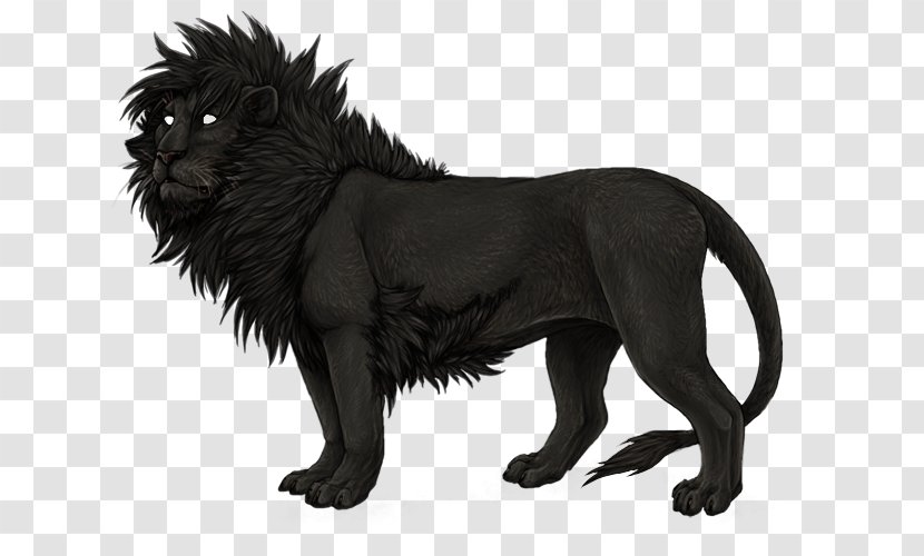 Lion Panther Big Cat Roar - Black Transparent PNG