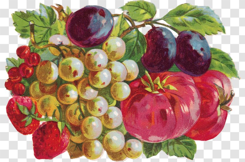Gooseberry Still Life Food Fruit Bilberry - Raspberry - Verdura Transparent PNG
