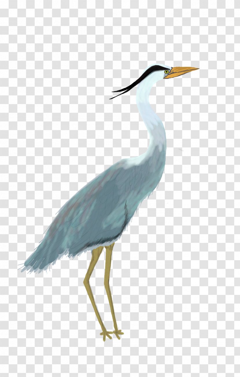 Great Blue Heron Egret Bird Pelican Transparent PNG