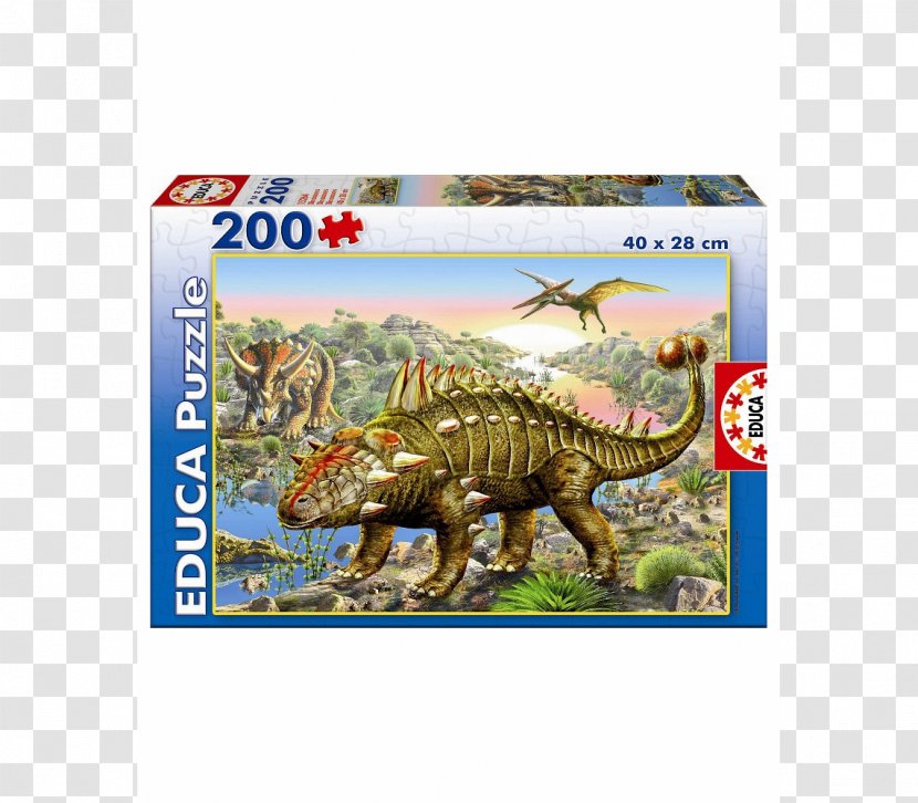 Jigsaw Puzzles Dinosaur Valley State Park Educa Borràs Tyrannosaurus - Child Transparent PNG
