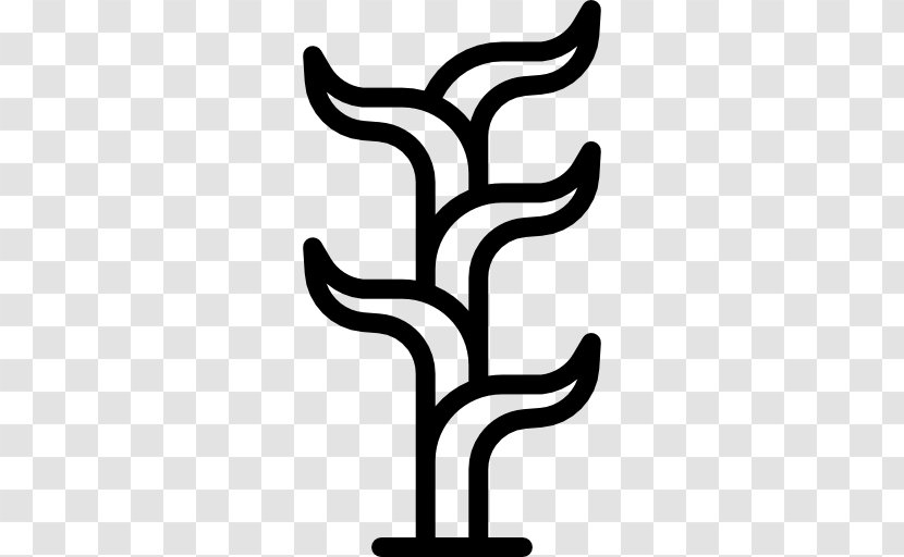 Plant Clip Art - Tree - Aloe Vector Transparent PNG