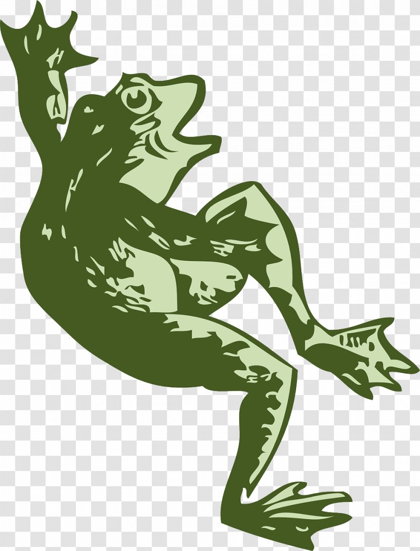 Tree Frog Dance Clip Art - Argentine Horned - Amphibian Transparent PNG