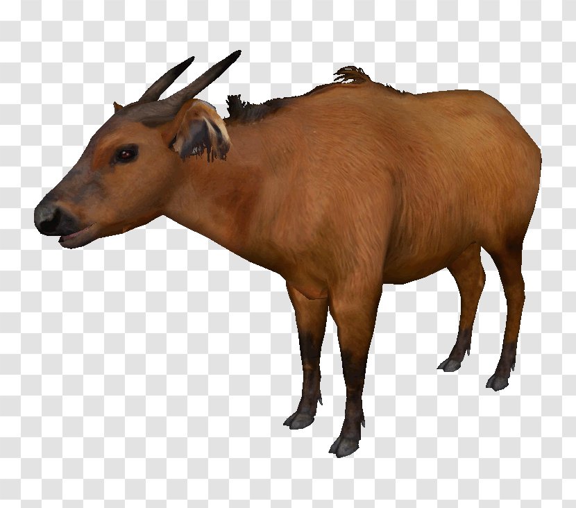 Zoo Tycoon 2 Cattle Water Buffalo American Bison African Transparent PNG