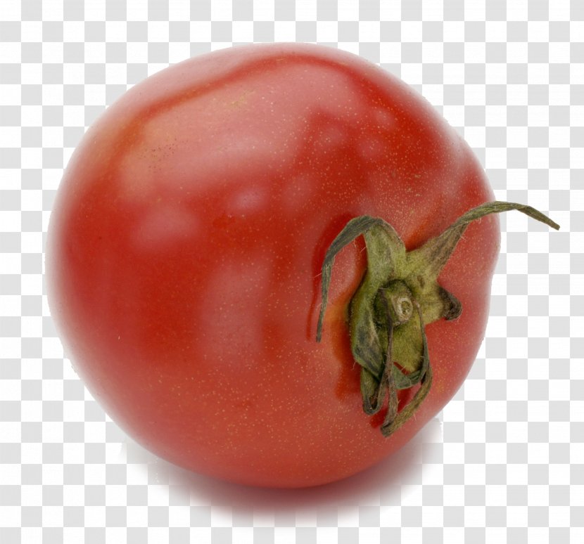 Plum Tomato Ku014denji Waniz Hall Bush - Plant Transparent PNG