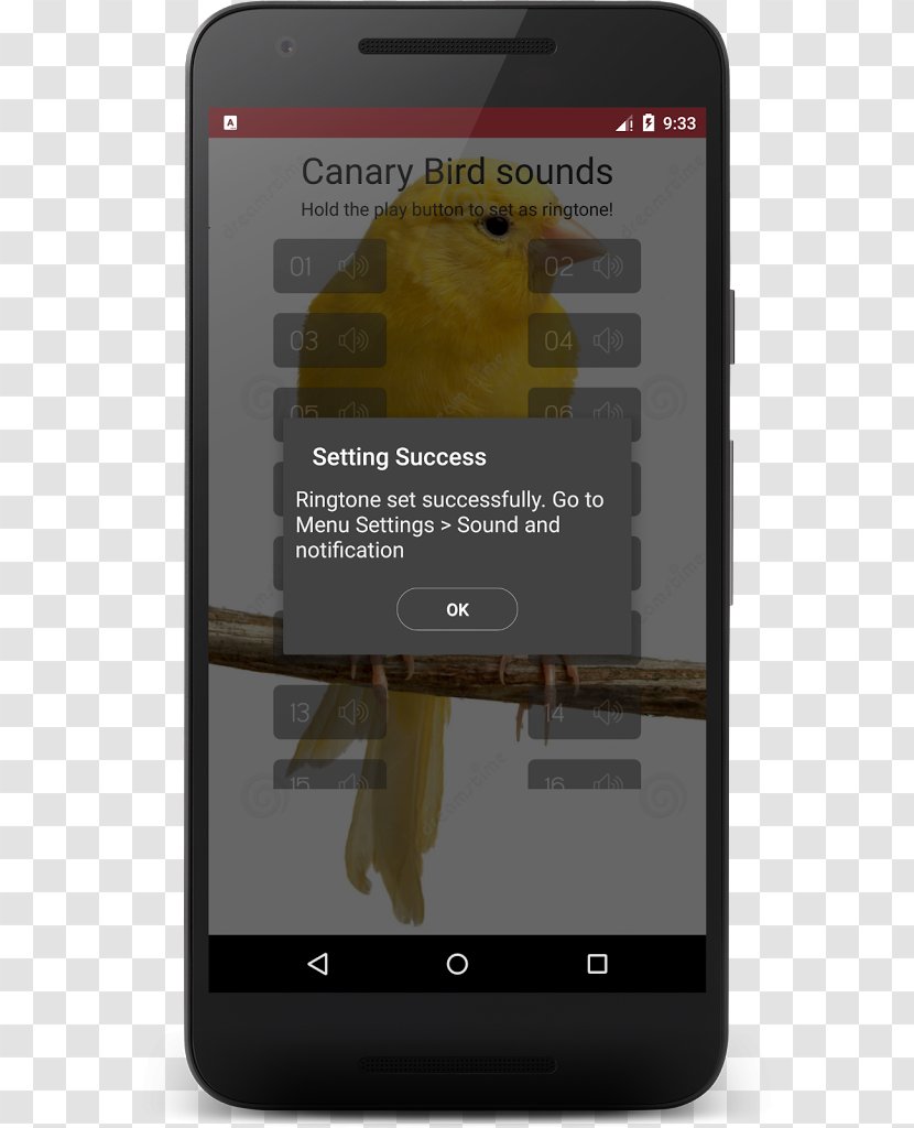 Smartphone Domestic Canary Bird Sounds - Communication Device Transparent PNG