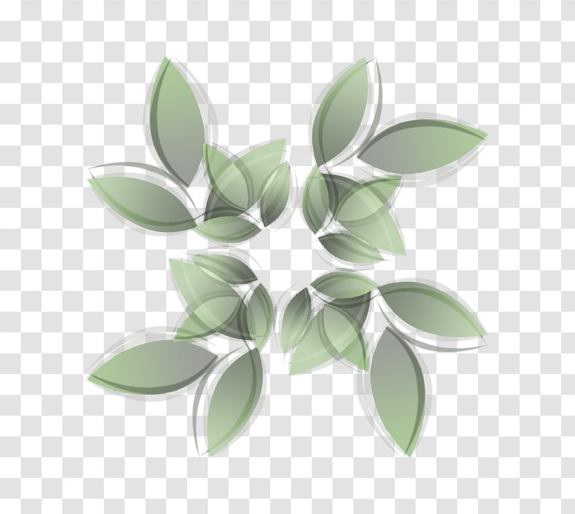 Leaf - Plant Transparent PNG