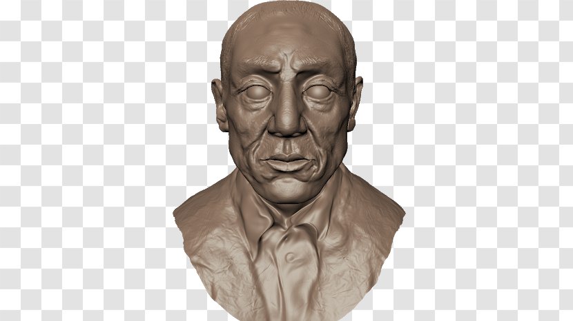 Classical Sculpture Forehead Jaw - Head - Art Transparent PNG