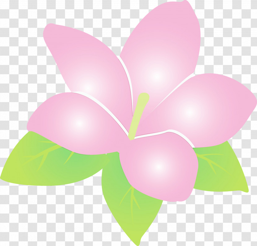 Flower Petal Pollinator Leaf Lilac Transparent PNG