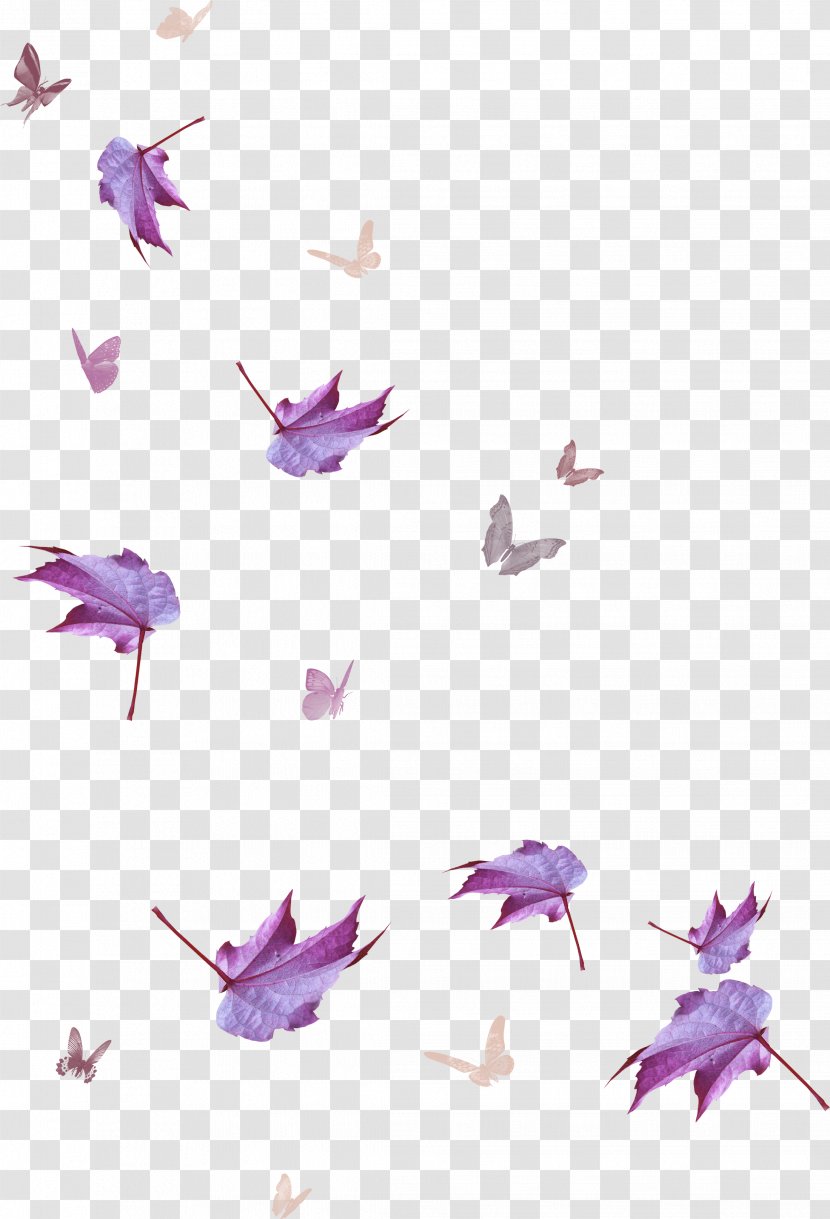 Maple Leaf Purple Transparent PNG