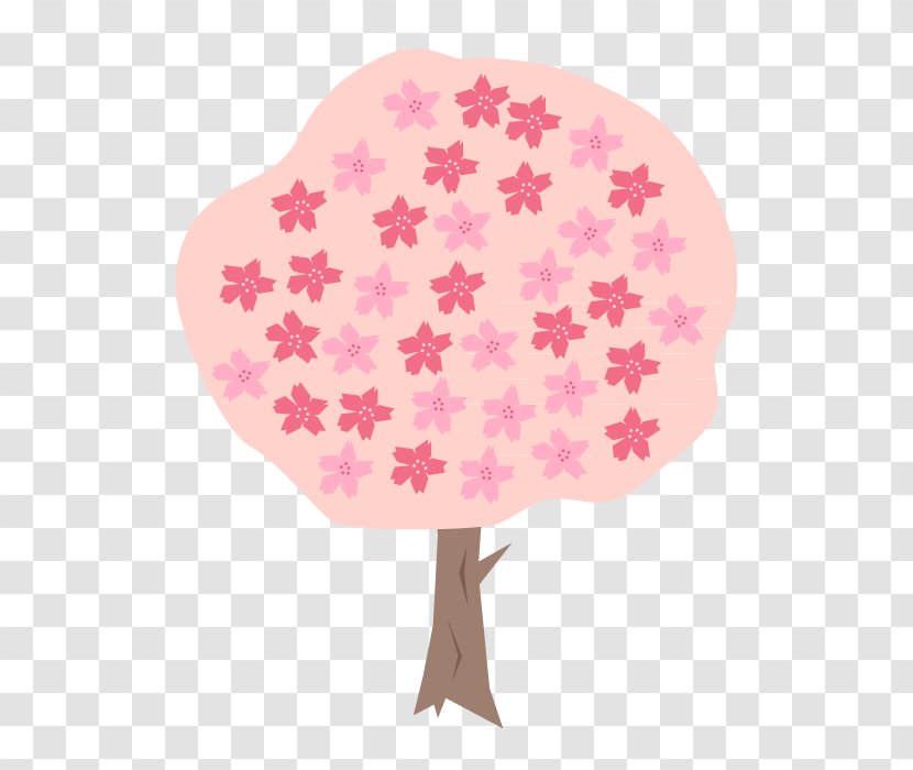 Cherry Blossom Drawing - Petal Transparent PNG