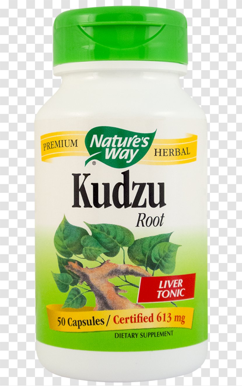 Kudzu Dietary Supplement Nature Leaf Capsule - Hypericum Transparent PNG