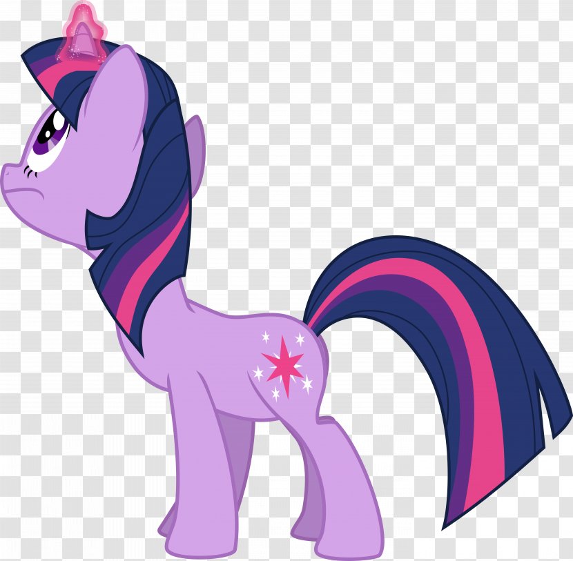 Twilight Sparkle Rainbow Dash Pinkie Pie Applejack Spike - Pony Transparent PNG