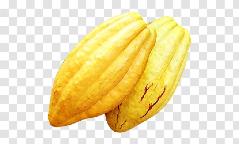 Fruit Food Theobroma Cacao Bourmet Corn On The Cob - Juice Vesicles Transparent PNG