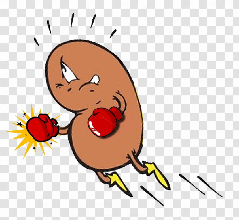 Chronic Kidney Disease Polycystic Failure - Watercolor - Groundhog Pictures Cartoon Transparent PNG