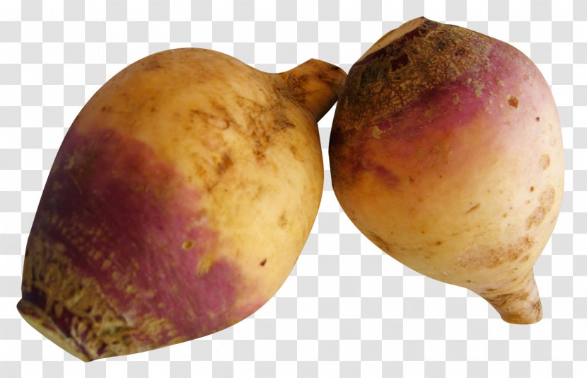 Rutabaga Vegetable Turnip - Local Food Transparent PNG