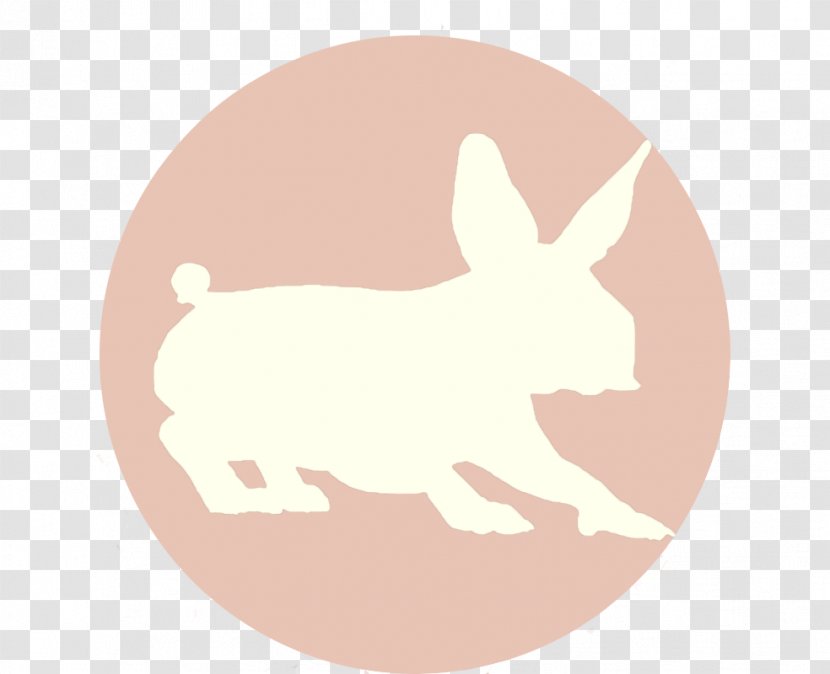 Dog Hare Easter Bunny Rabbit Transparent PNG