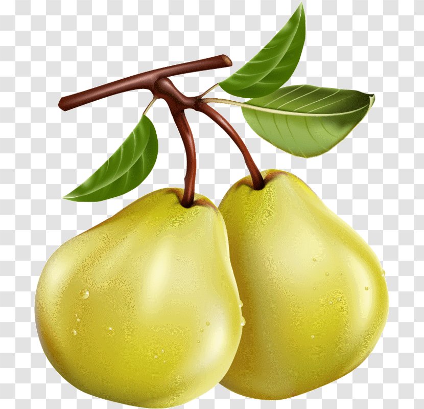 Asian Pear Desktop Wallpaper Clip Art - Food Transparent PNG