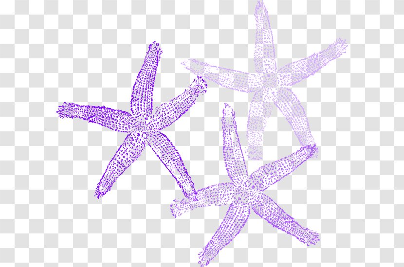 Starfish Clip Art - Grey - Vector Transparent PNG