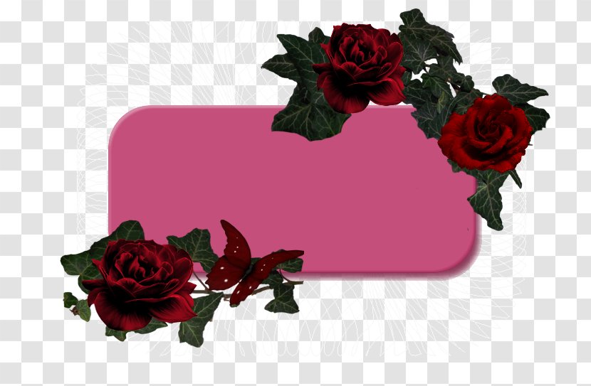 Garden Roses Floral Design Cut Flowers - Pinnwand - Rose Transparent PNG