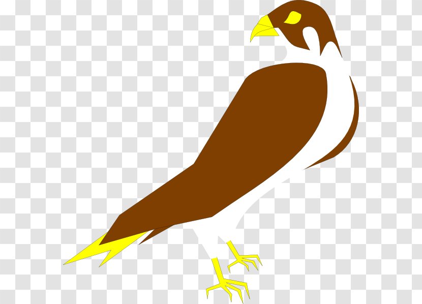 Peregrine Falcon Clip Art Transparent PNG