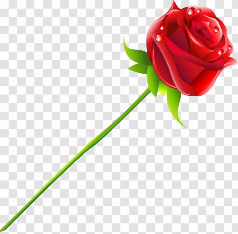 Rose Flower - Vector Transparent PNG