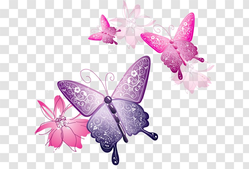 Butterfly Clip Art - Magenta - Pink Transparent PNG