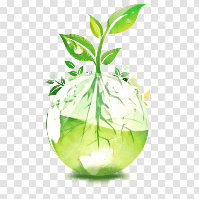 Green Leaf Logo - Plant - Flowerpot Glass Transparent PNG