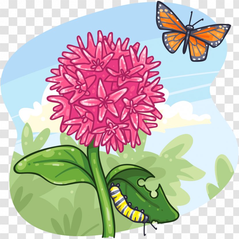 Monarch Butterfly Chrysanthemum Brush-footed Butterflies Cut Flowers - Flower Transparent PNG