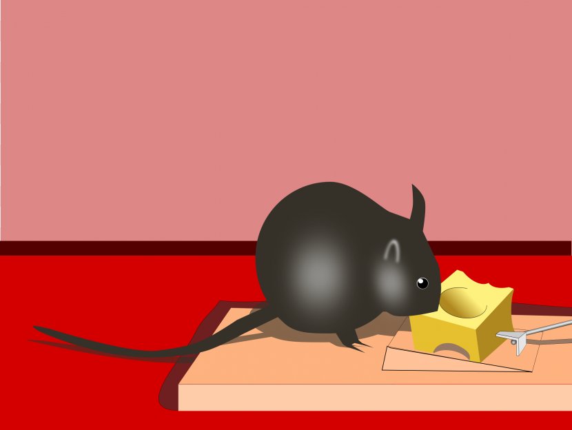 Mousetrap Rodent Rat Bait - Muroidea Transparent PNG