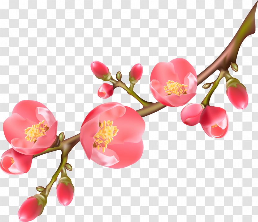 Paper Flower - Scroll - Plum Transparent PNG