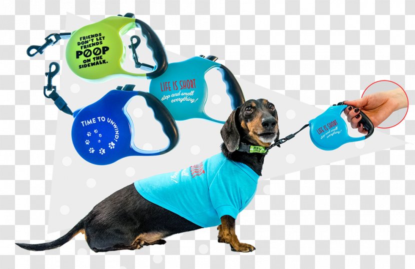 Dog Breed Puppy Leash Snout - Wiener-Dog Transparent PNG