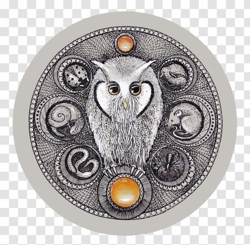 Little Owl - Computer Graphics - Vector Owls And Recipes Transparent PNG