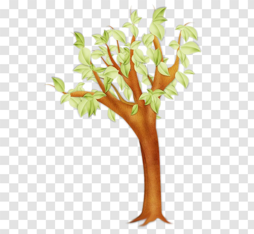 Coarse Woody Debris Tree Twig Forest Branch - Drawing Transparent PNG