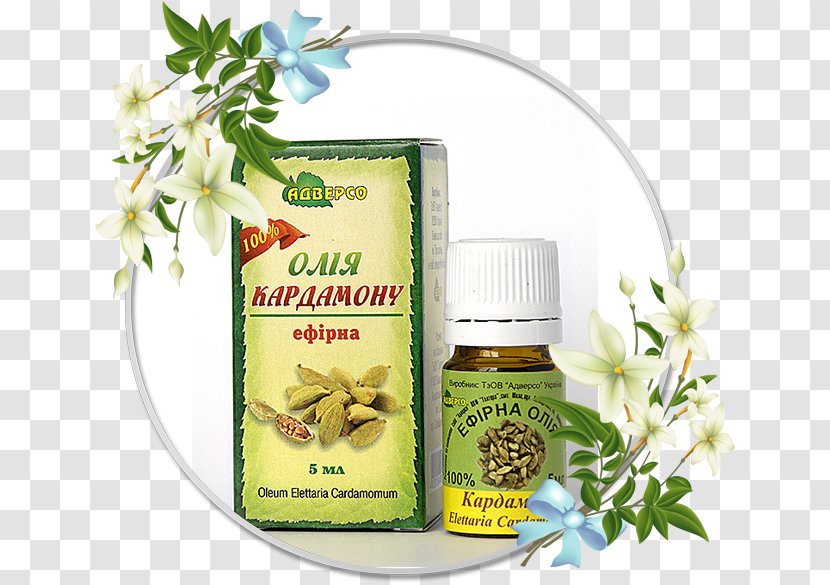 Essential Oil Cosmetics Frankincense Macadamia - Herbal Transparent PNG