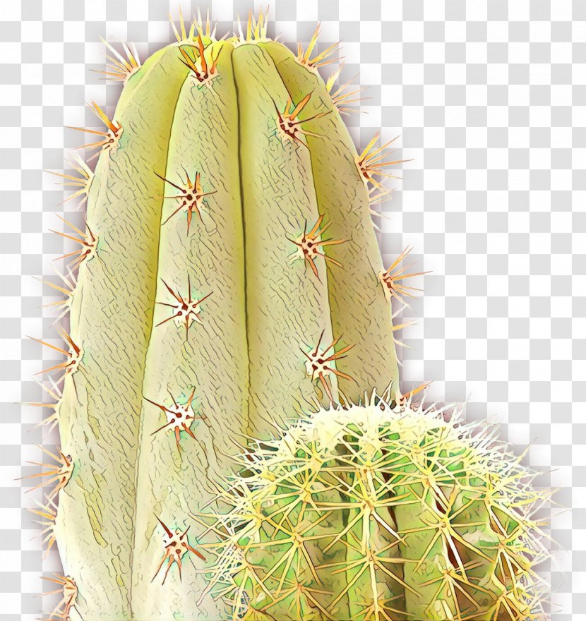 Cactus Cartoon - Plant - Saguaro Largeflowered Transparent PNG