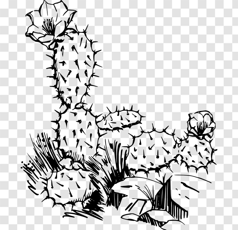 Cactaceae Saguaro Drawing Clip Art - Color - Black Cactus Transparent PNG