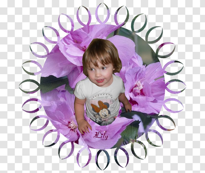 Common Hibiscus Shrub Pink M Toddler Chiffon - Flower - Lily Allen Transparent PNG