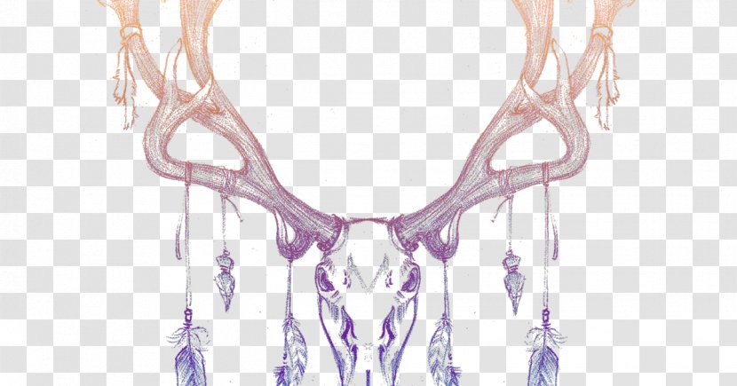 Bone Deer Drawing Antler - Frame Transparent PNG