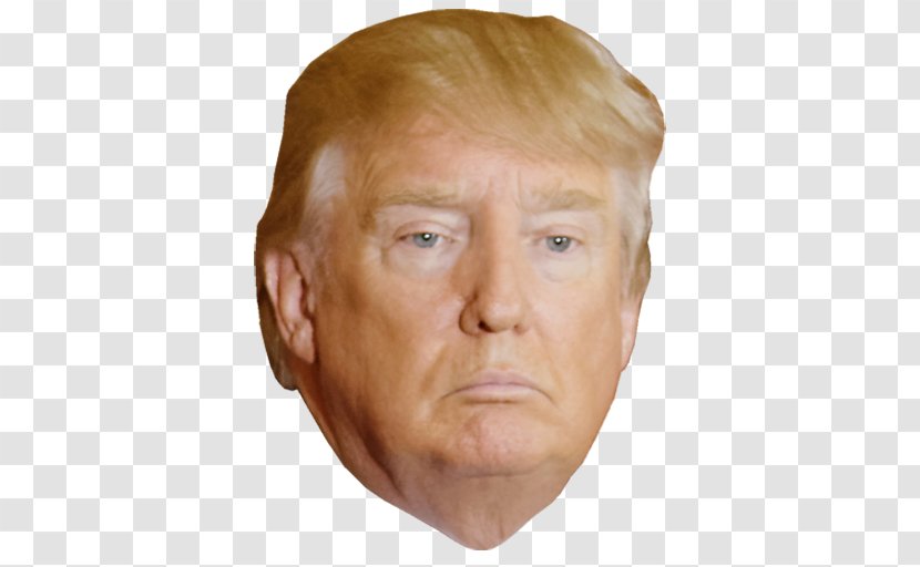 Donald Trump 2017 Presidential Inauguration President Of The United States Hillaroids Transparent PNG