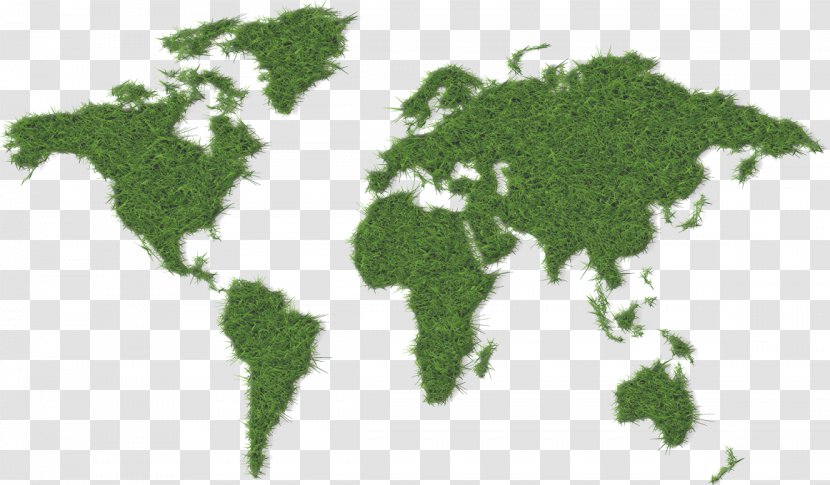 World Map Globe Flat Earth - Tree - Green Transparent PNG