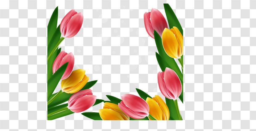 Tulip Flower Clip Art - Floral Design Transparent PNG