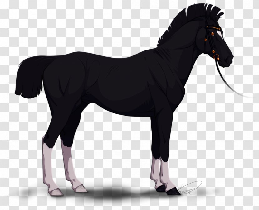 Stallion Mane Mare Mustang Pony - Halter Transparent PNG
