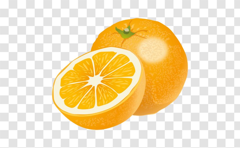 Fizzy Drinks Flavor Orange Aroma - Citric Acid - Tangerine Transparent PNG