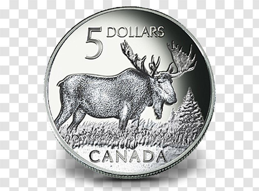 Deer Moose Elk Canada Coin - Canadian Dollar Transparent PNG