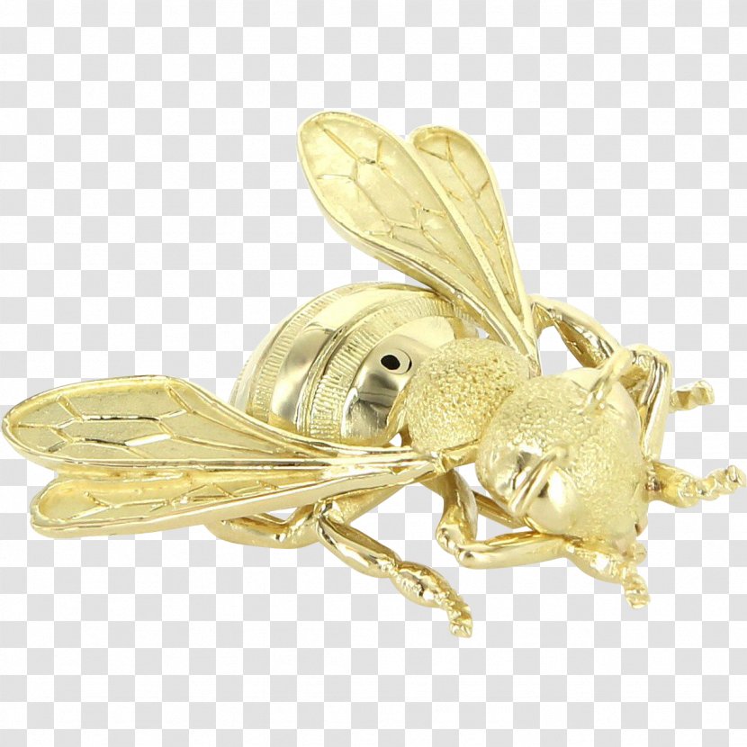 Butterfly Gold Brooch Body Jewellery Transparent PNG